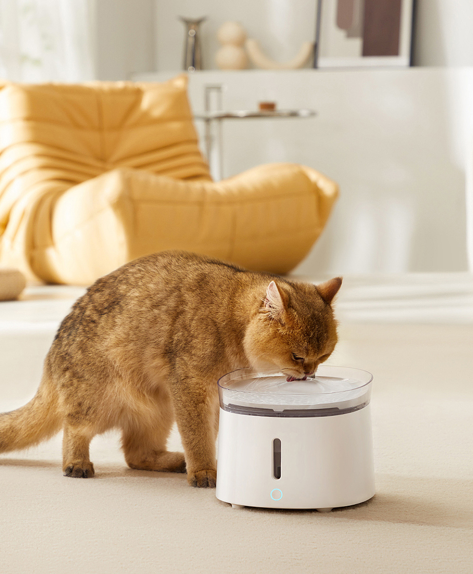 منتجات الحيوانات الأليفة